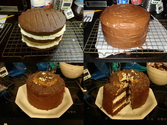Cake practice birthday combine_images 2.jpg