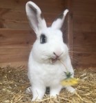 Imogen and flower small cropped